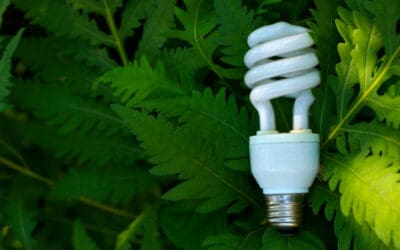 EPA Extends Deadline on Dealership Energy Survey
