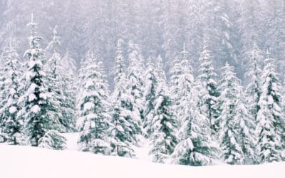 Wintertime Walking: Tips to avoid slips and fall