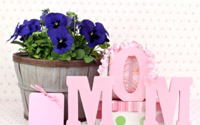 TrueCar.com Identifies 10 Most Popular Cars for Moms