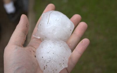 Group 1 Automotive Assessing Hail Damage To Dealerships