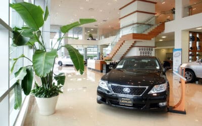 Subtle Plantings Drive High Design at Lexus Car Dealership