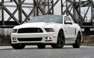 Demographics of Enthusiast Vehicle Owners Revealed