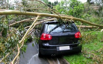 Edmunds.com Presents Five Steps for Hurricane Sandy Victims Who Lost Their Cars