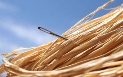When Searching for that Proverbial Needle in the Haystack