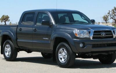 CPO Sales Set Quarterly Record