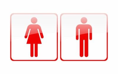 Survey Finds Gender Affects Car Shopping Decisions