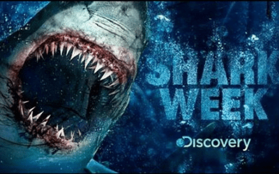 Guerrilla Marketing and Shark Week