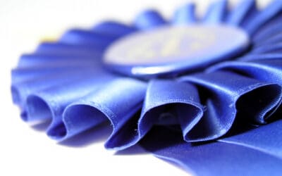 A Pig Can Win More than One Blue Ribbon