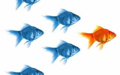 The Best Leaders Model The Behavior They Want – A Case Study