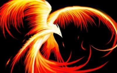 The Dealership Profit Phoenix Has Risen