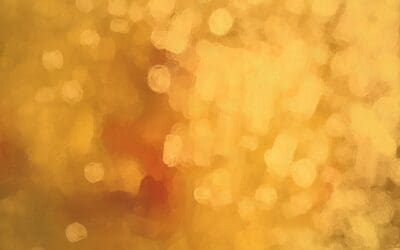 5 Ways to Dazzle and Delight Your Customers This Holiday Season