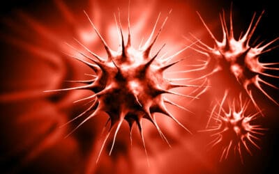 Winter Illness Prevention