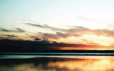 In Our New World, Background Checks Leave Much to Be Desired