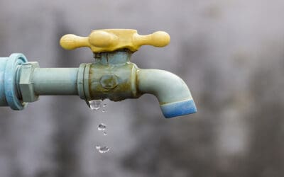 Plugging the Leaks in F&I