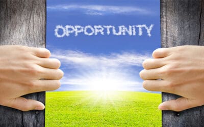 There’s A Lot of Meat on the Bone: Automotive Opportunities Abound!