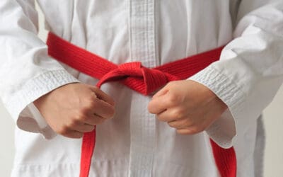 Run a “Red Belt” Business