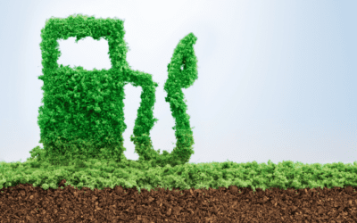 Leadership Fuel for Your Successful Growth