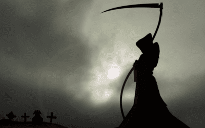 Plan Ahead "The Box" is Dead!