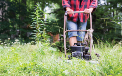 Getting Into the Weeds – Five Levers of Expense Management© to Reduce Costs