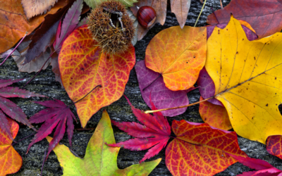 Upside of the Sell-Down Season