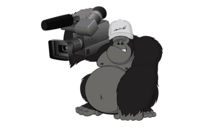 Inflatable Gorillas or Videos?