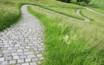 Pave the Path for a Smooth Ride