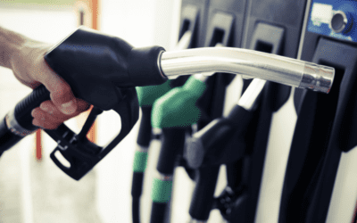 Content Fueled by Social