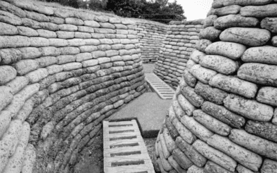 In the Trenches – Future Predictions from a Millennial Finance & Technology Executive, What Dealers Need to Do to Be Prepared