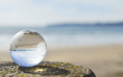 Transparency: The Key to Customer Loyalty