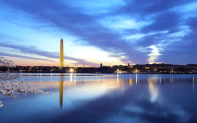 When States Fight Back