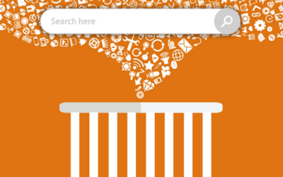 Site Search Filtered or Free Form