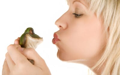 The Princess and the Frog: Does Size Matter?