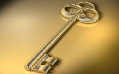 Interaction is Key: 5 Inventory Web Display Best Practices