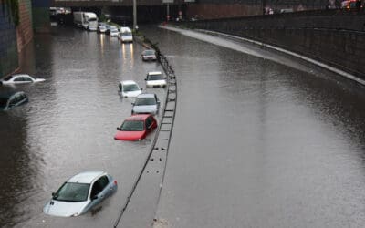 The Importance of Acting on Data in the Wake of Irma and Harvey