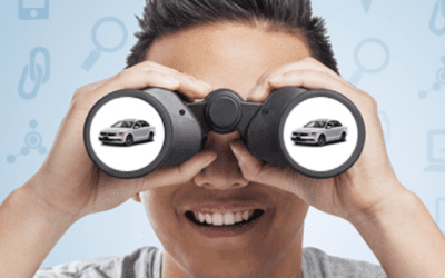 Website Conversion 101: In-Site Search Options