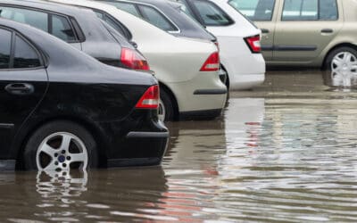Hurricane Winds Create Windfall for Car Dealers