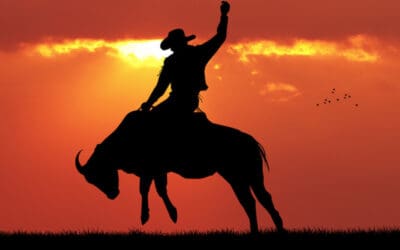 Buck the Marketing Status Quo