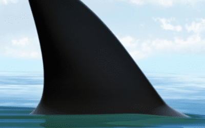 Conflict: The Silent Killer Lurking Beneath the Surface