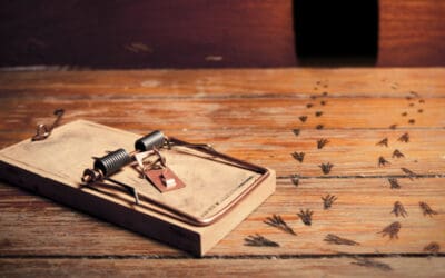 Making a Better Mousetrap: Leverage Consumer Behavior to Increase Conversions