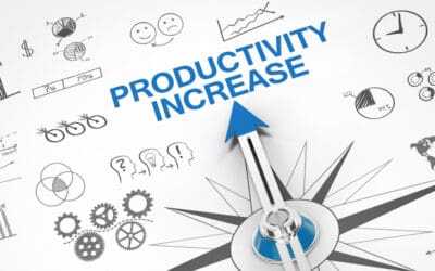 Turning Productivity into Profit