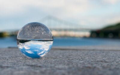 Is Lack of Transparency Killing Your Lead Volume?