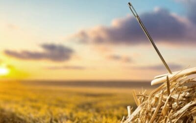 14 Ways to Recruit Technicians: Finding a Needle in the Haystack