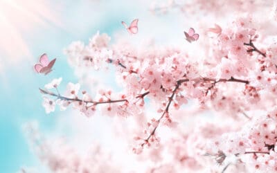 Spring Selling Season