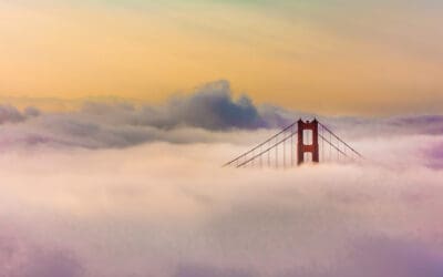 Fog Machine: Digital Retailing