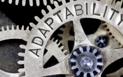 Dealer Adaptability in 2019