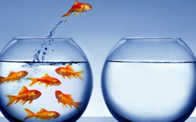 Three Tips in Three Seconds: Speed Matters