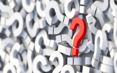 4 Questions to Ask Your Paid Search Provider