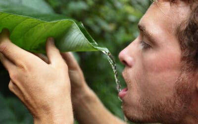 Naked and Afraid? How a Survivalist Mindset Breeds Mediocrity