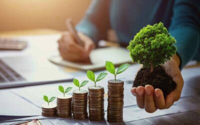 5 Reasons to Reconcile Bank Transactions Daily