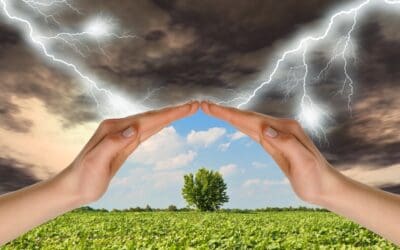 The Not-So-Perfect Storm: Part 2